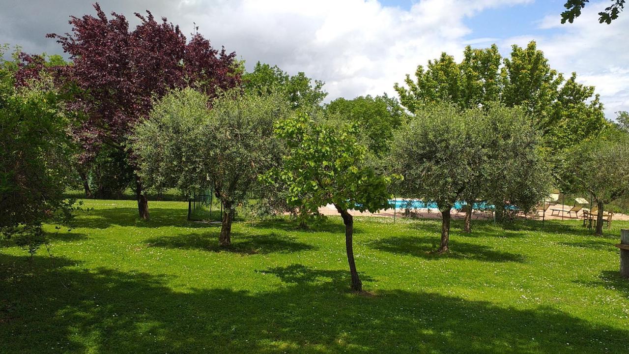 La Vecchia Fornace Guest House Cortona Exterior photo